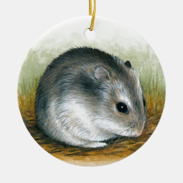 Hamster 25 julgransprydnad keramik (Framsidan)