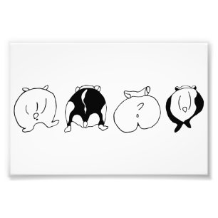 Hamster Butts Fototryck