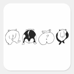 Hamster Butts Fyrkantigt Klistermärke