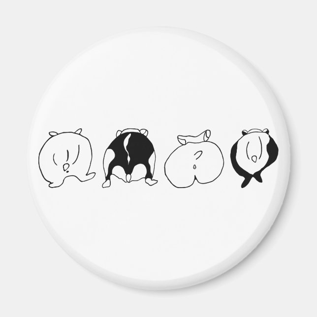 Hamster Butts Magnet (Framsidan)