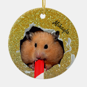 Hamster Chews Hål i Glittery Golden Ornament