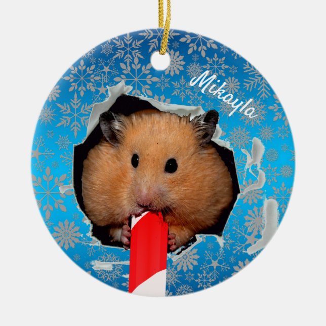 Hamster Chews Hål i jul Ornament (Framsidan)