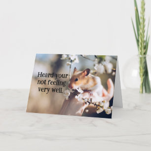 Hamster Child's Get well Card Kort