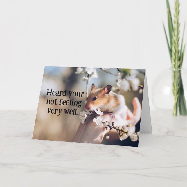 Hamster Child's Get well Card Kort (Framsida)