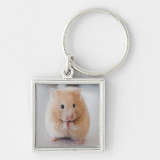 hamster fyrkantig silverfärgad nyckelring