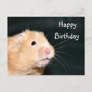 Hamster Grattis på födelsedagen Vykort