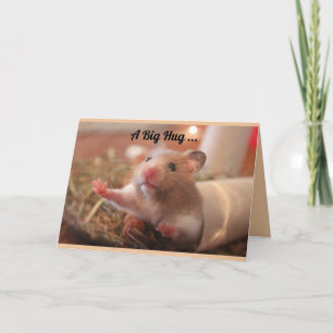 Hamster Hug Tack Kort