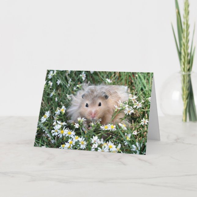 Hamster i blommor kort (Framsida)