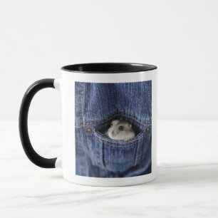 Hamster i fick- mugg