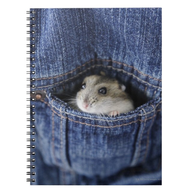 Hamster i fickan anteckningsbok med spiral (Framsidan)