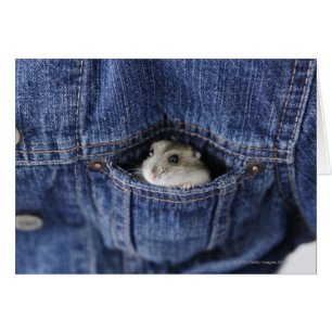 Hamster i fickan hälsningskort