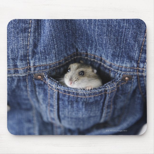 Hamster i fickan musmatta (Framsidan)