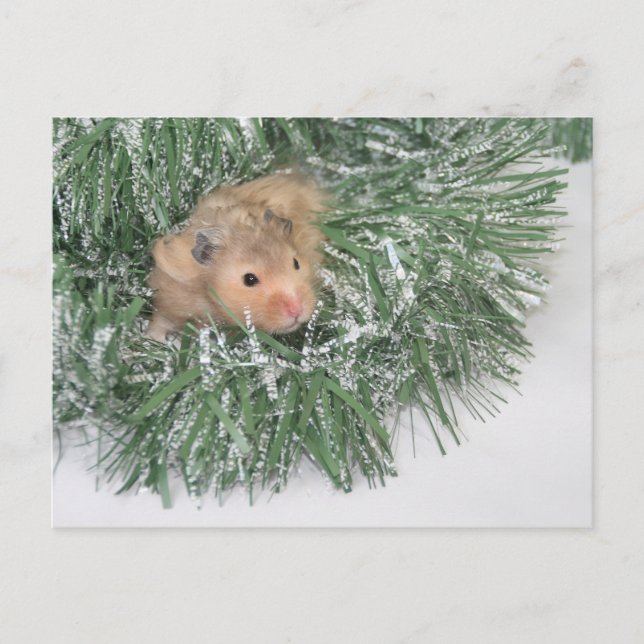 Hamster jul helg vykort (Framsida)