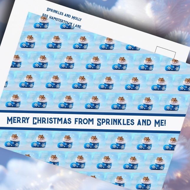 Hamster jul Stocking Photo Collage Helg Vykort (Skapare uppladdad)