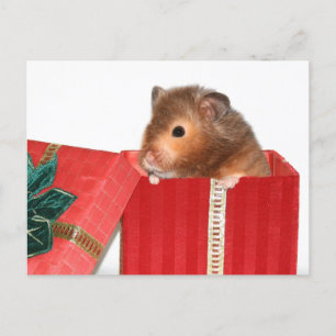 Hamster julklapp helg vykort