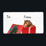 Hamster julklapp märkre fraktsedel<br><div class="desc">Hamster i en röd julbox,  märkre för julklapp</div>