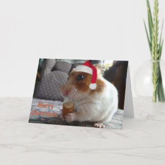 Hamster-julkort Helgkort
