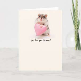hamster kärlek kort