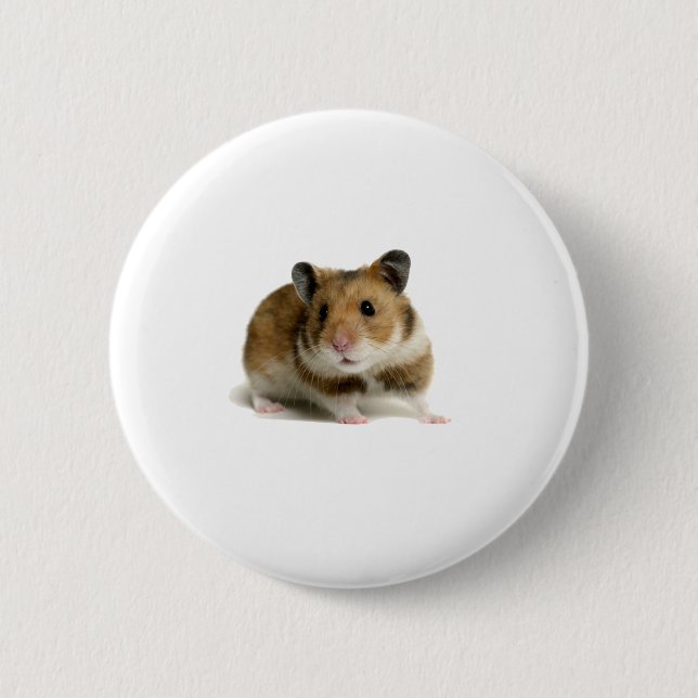 Hamster Knapp (Framsida)