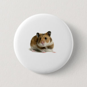 Hamster Knapp