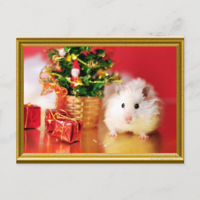 Hamster Kokolinka med Julgran Helg Vykort (Framsida)