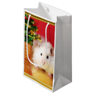 Hamster Kokolinka med julgranen