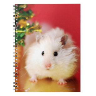 Hamster Kokolinka med julgranen Anteckningsbok