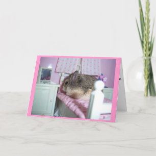 Hamster kommer bra kort