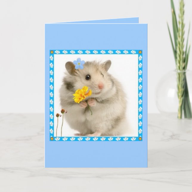hamster kort (Framsida)