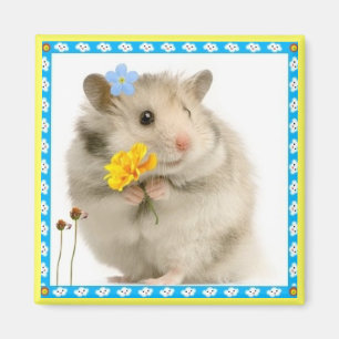 hamster magnet