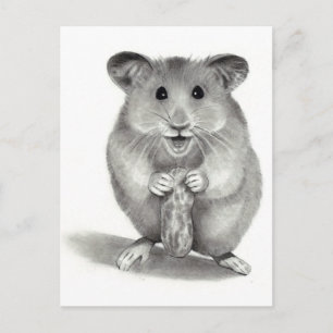 HAMSTER MED PEANUT, PENCIL ART VYKORT