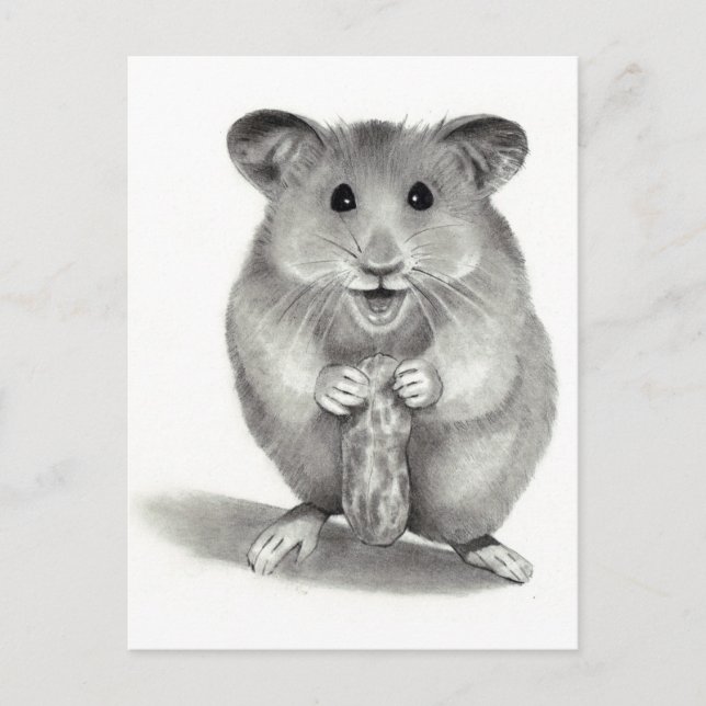 HAMSTER MED PEANUT, PENCIL ART VYKORT (Framsida)