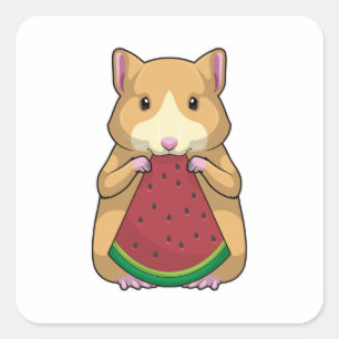 Hamster med Watermelon Fyrkantigt Klistermärke