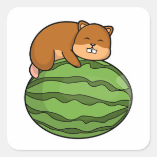 Hamster med Watermelon Fyrkantigt Klistermärke