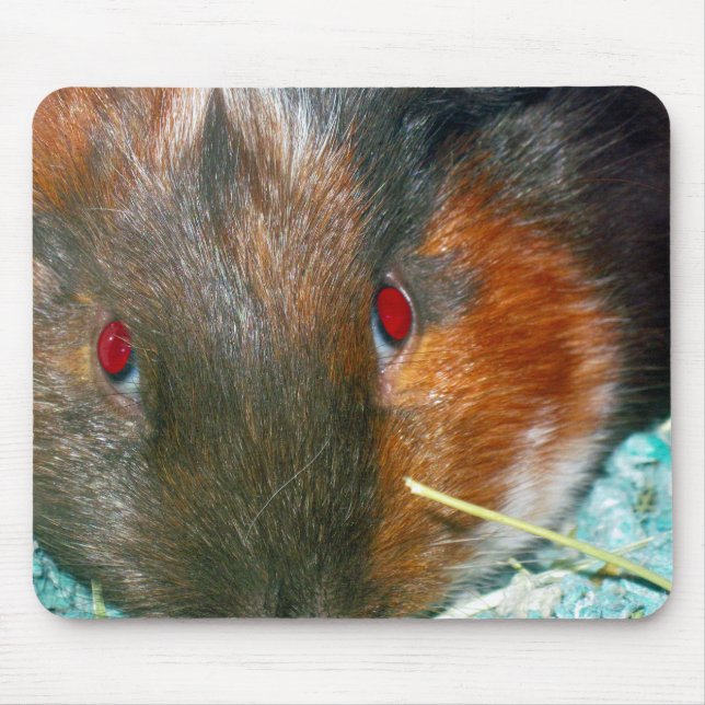 Hamster Mouse Pad Musmatta (Framsidan)