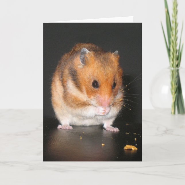 Hamster notecard kort (Framsida)
