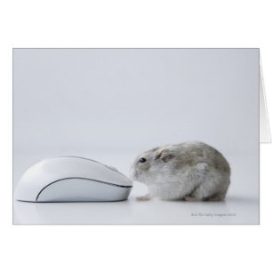 Hamster och datahus hälsningskort