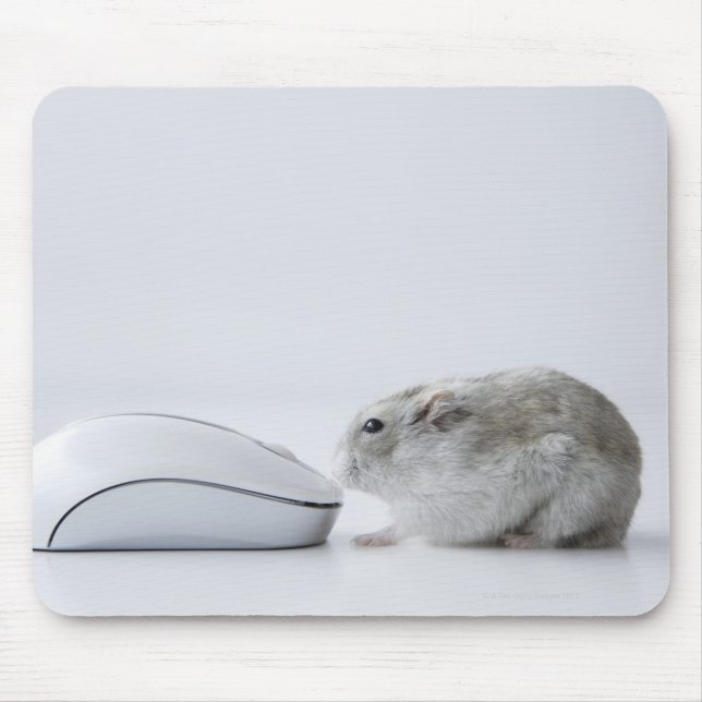 Hamster och datahus musmatta (Framsidan)
