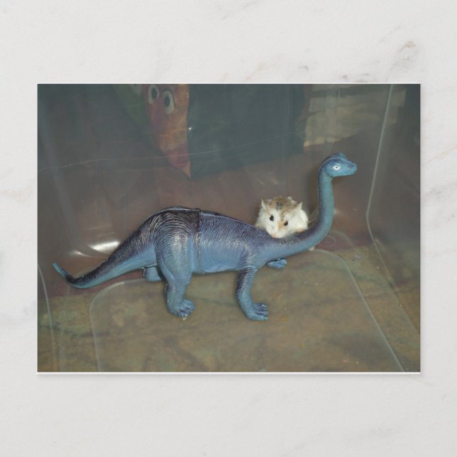 Hamster på dinosaur vykort (Framsida)