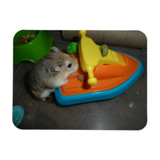 Hamster på en Jet-ski Magnet