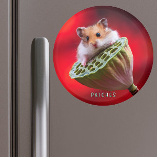 Hamster på Lotus Pod Magnet