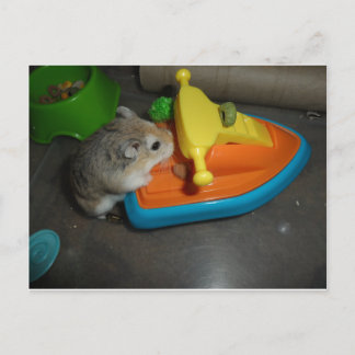Hamster på vattenskoter vykort