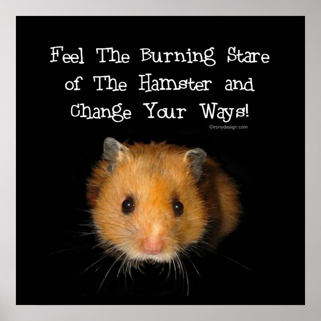 Hamster Poster (Framsidan)