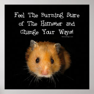 Hamster Poster