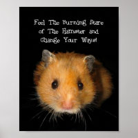 Hamster