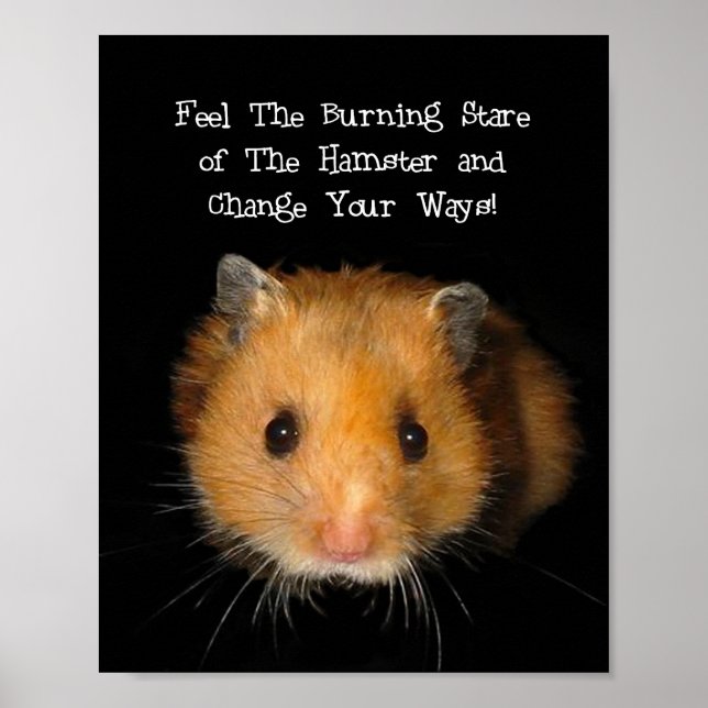 Hamster Poster (Framsidan)