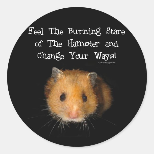 Hamster Runt Klistermärke (Framsida)