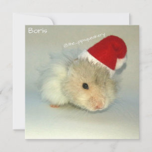 Hamster Santa! Julkort