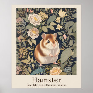 Hamster Scientific Namn Animal Poster