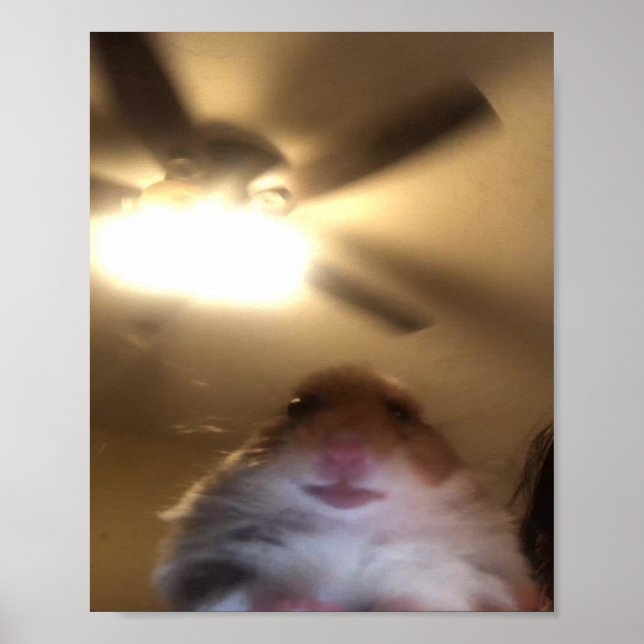 Hamster Staring Meme Poster (Framsidan)